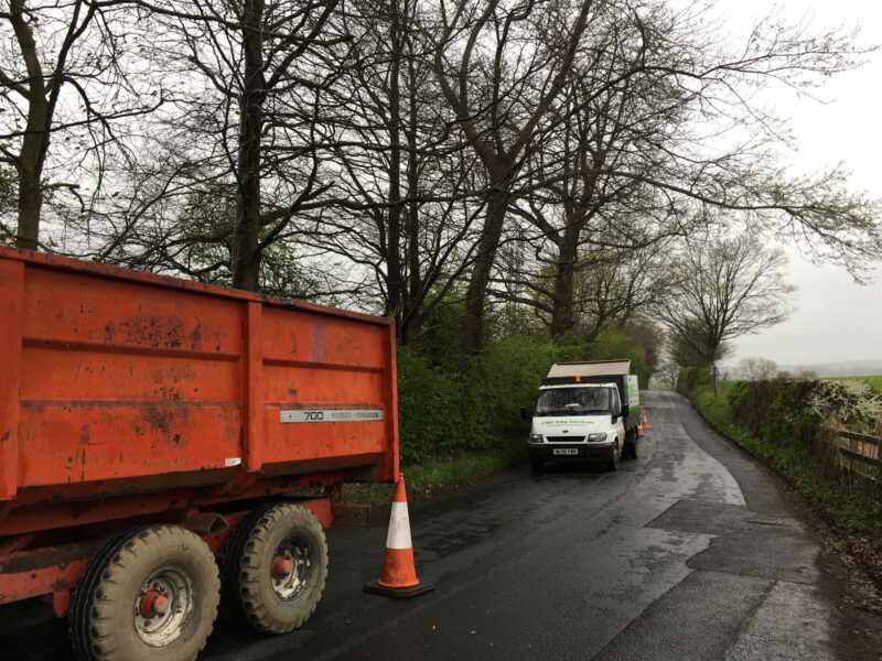 cms-tree-services-sycamore-removal-chatburn-roadside