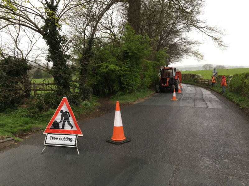 cms-tree-services-sycamore-removal-chatburn-roadside-safety