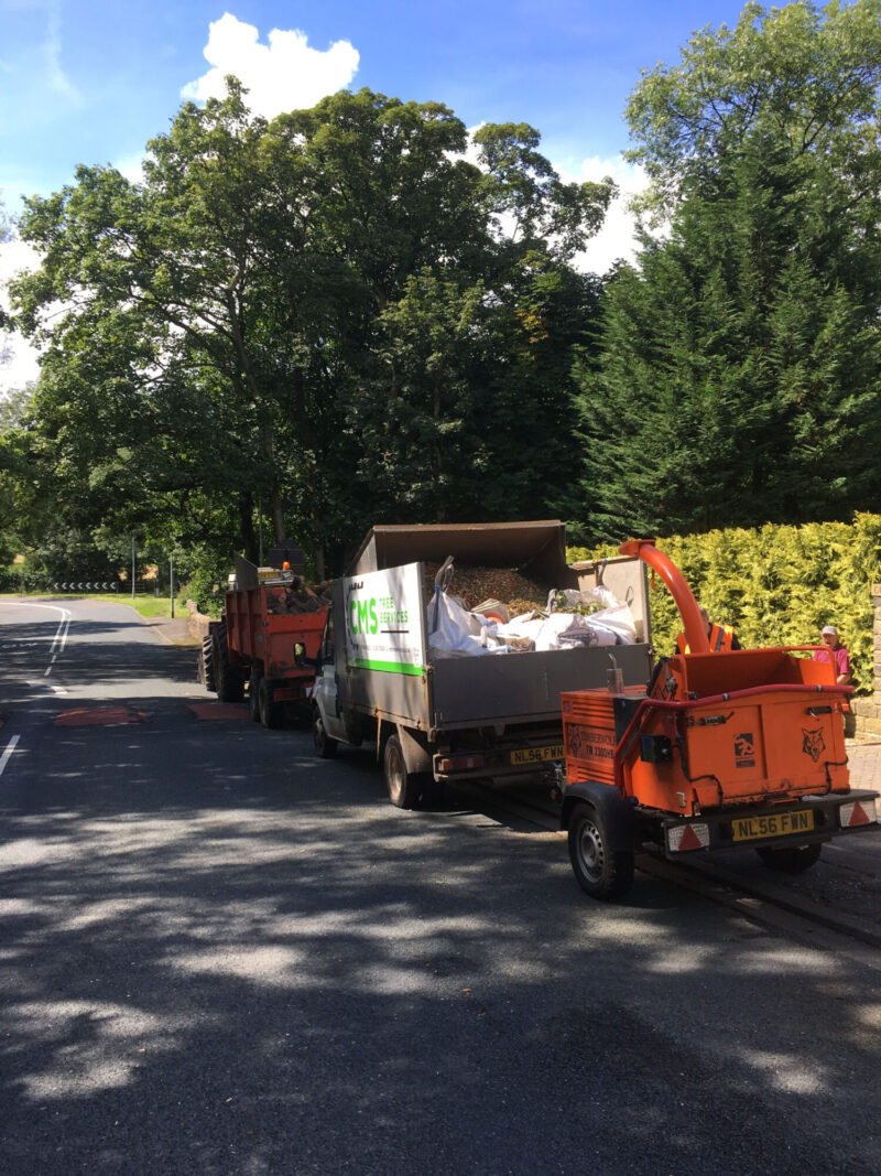 cms-tree-services-tpo-oak-alder-removal-truck-chippings
