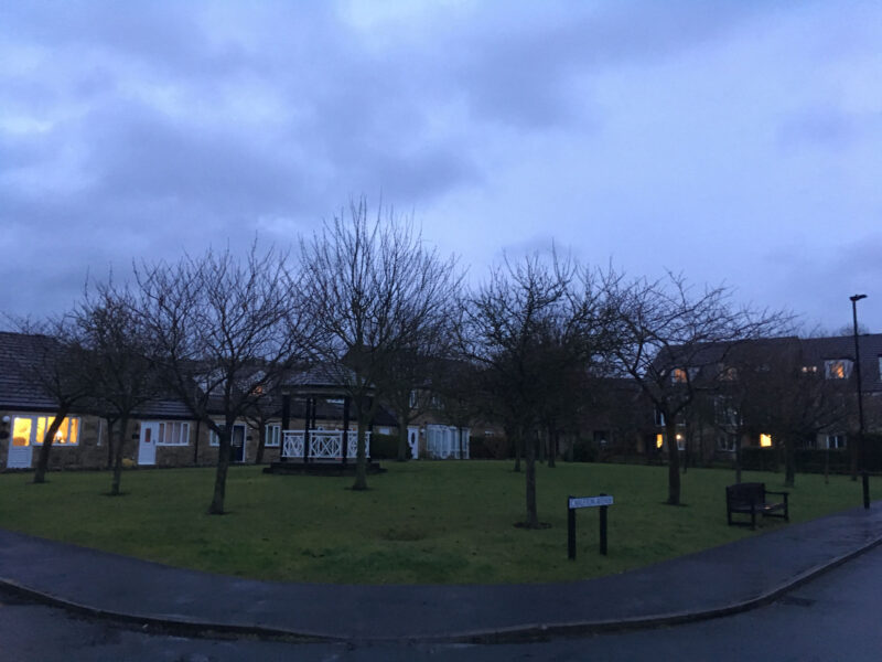 cms-tree-services-tree-reduction-skipton