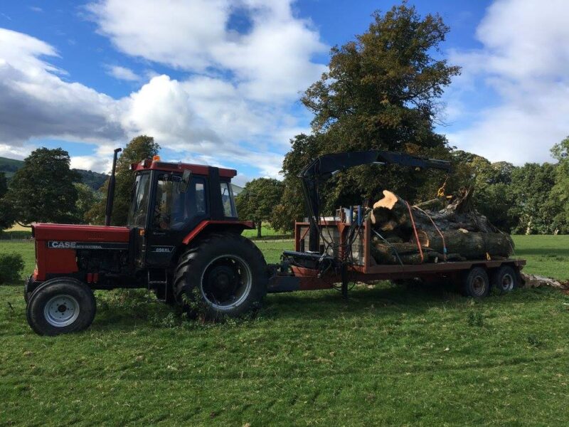 cms-tree-services-tree-removal-bolton-by-bowland-3