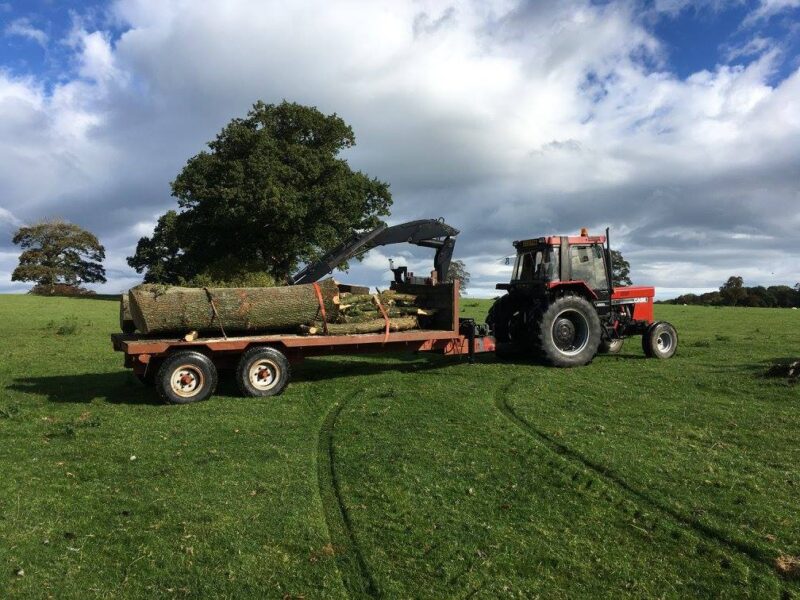 cms-tree-services-tree-removal-bolton-by-bowland-4