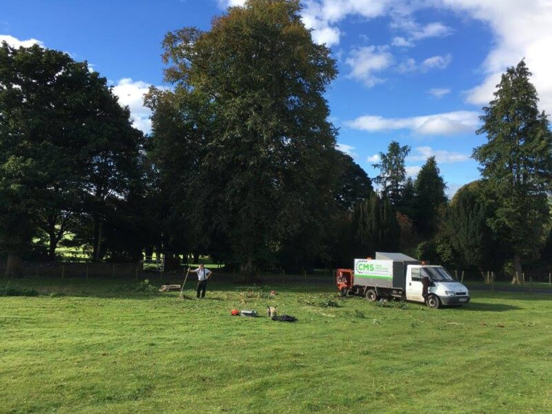cms-tree-services-tree-removal-bolton-by-bowland-6