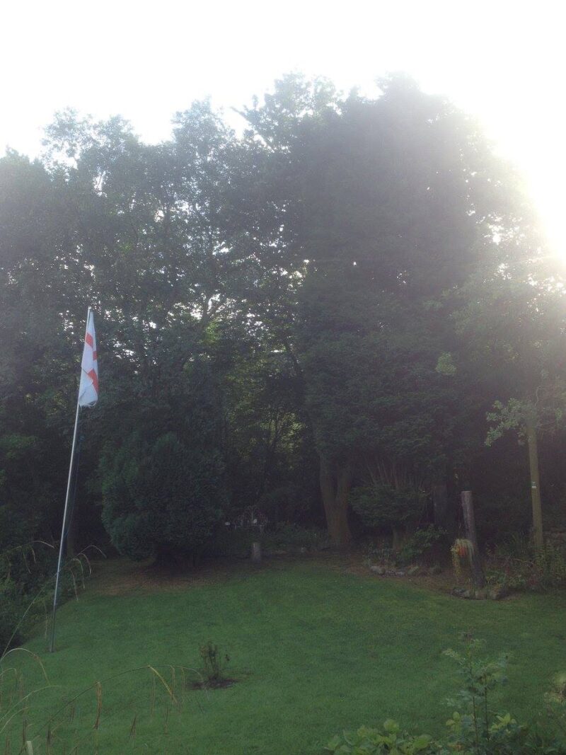 cms-tree-services-tree-removal-burnley-1