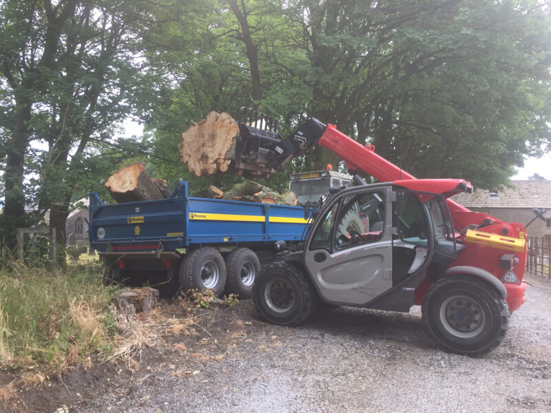 cms-tree-services-tree-trunk-machinery