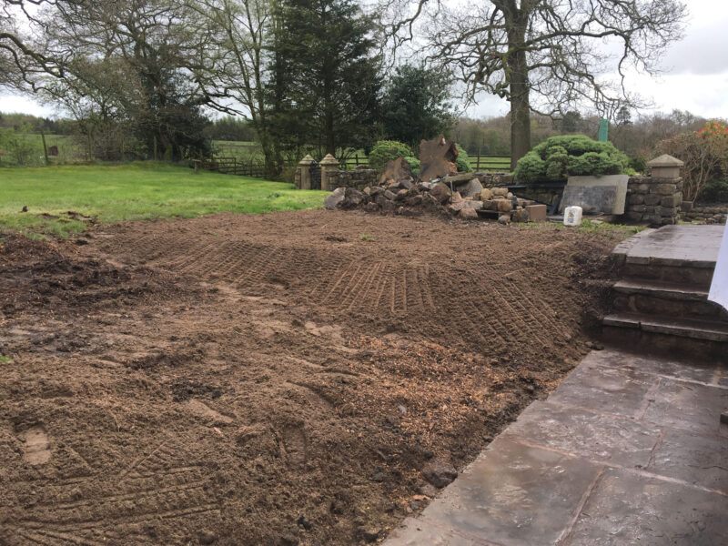 cms-tree-services-very-large-stump-grind-out-bolton-by-bowland-after