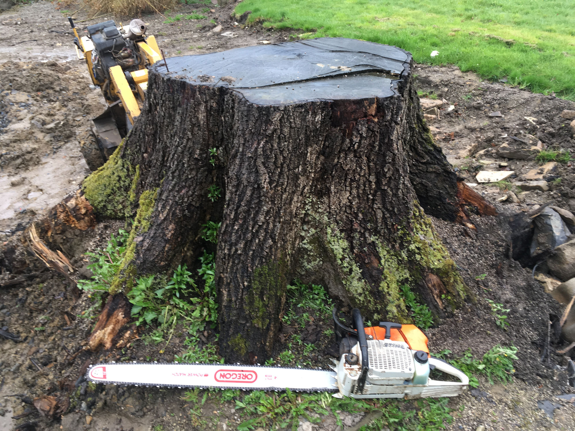 Very large stump grind out in Bolton by Bowland • CMS Tree Services