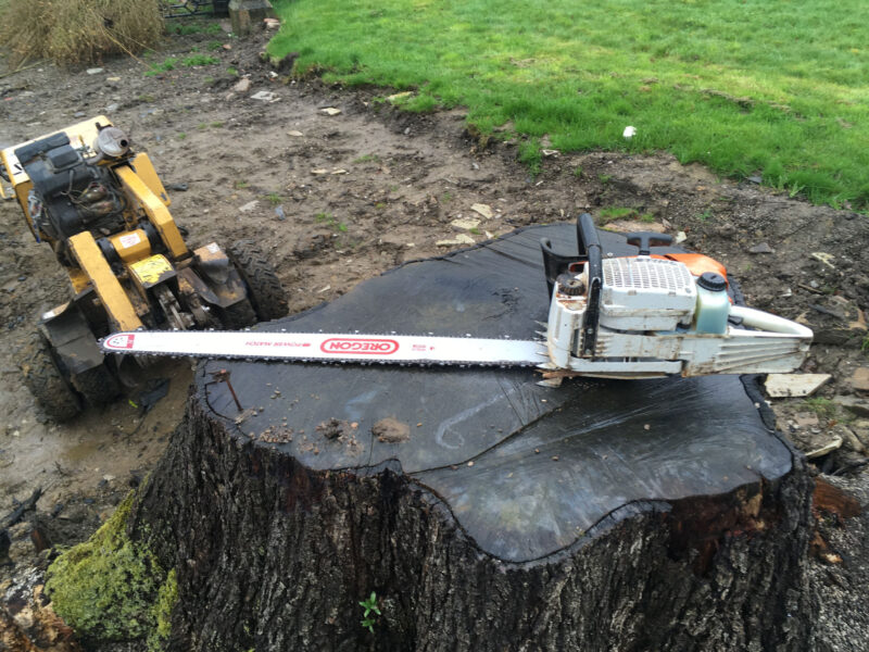 cms-tree-services-very-large-stump-grind-out-bolton-by-bowland-tools