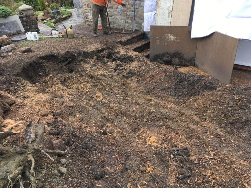cms-tree-services-very-large-stump-ground-out-bolton-by-bowland-progress