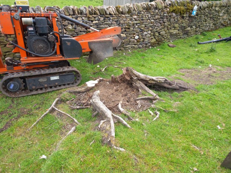 grinding out a tree stump in a horse field 1