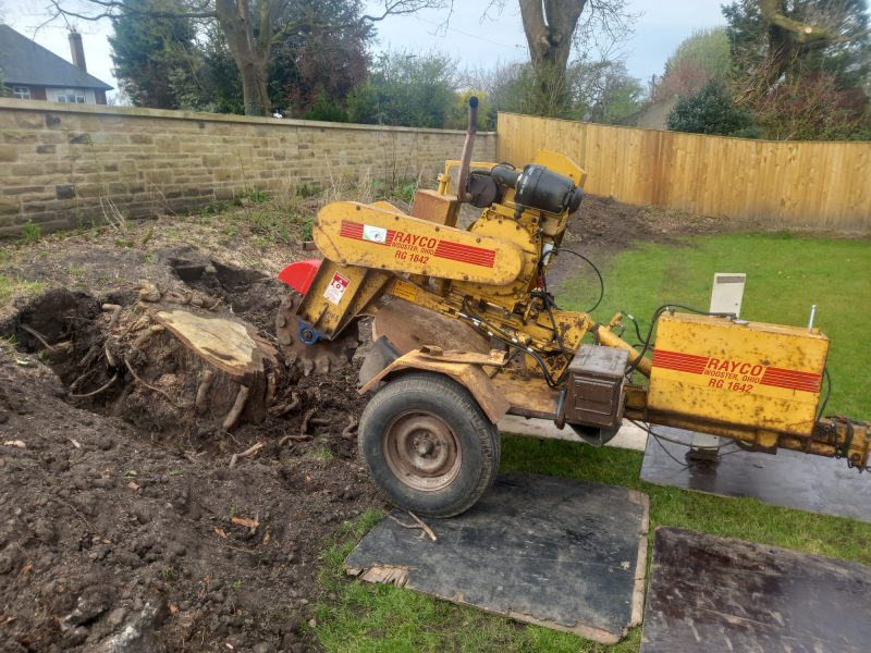 grinding out large tree stumps in Higham 1