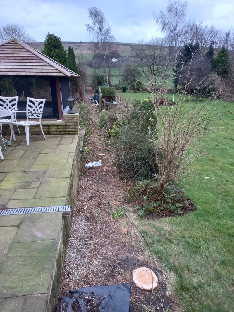 hedge removal in earby 9