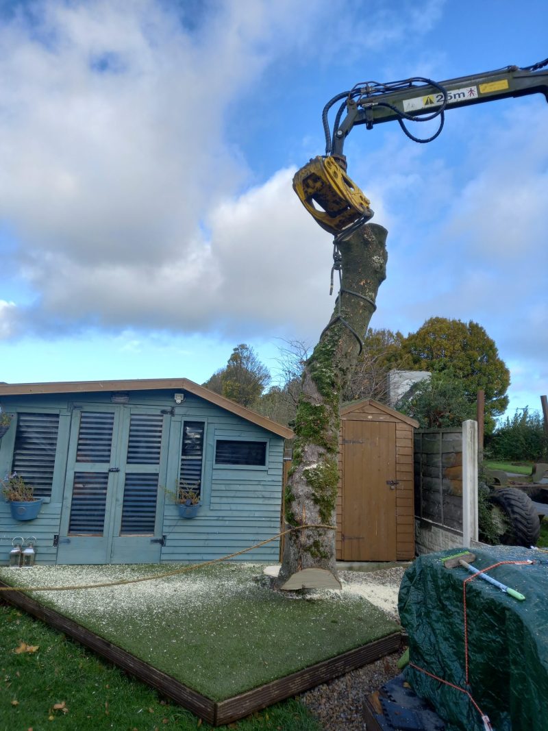 lifting a tree trunk out of a garden in barnoldswick 1