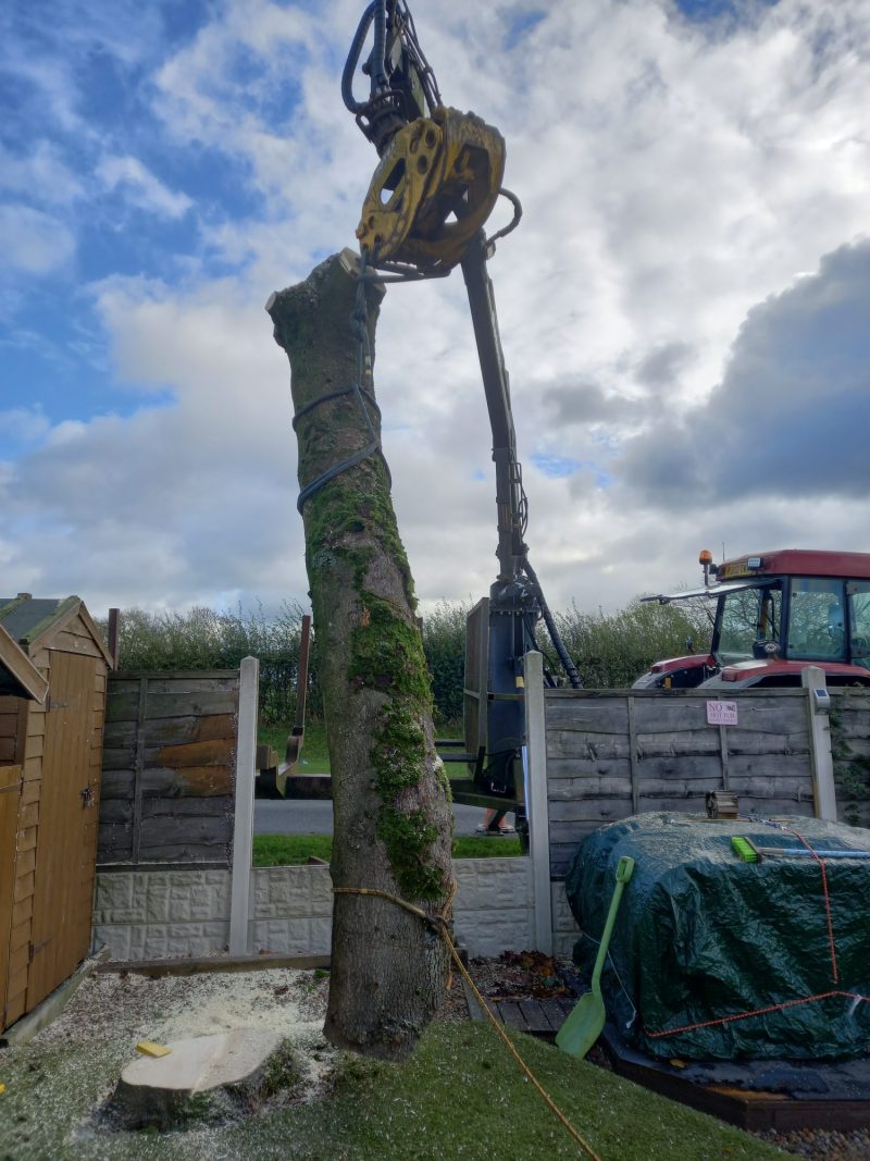 lifting a tree trunk out of a garden in barnoldswick 4
