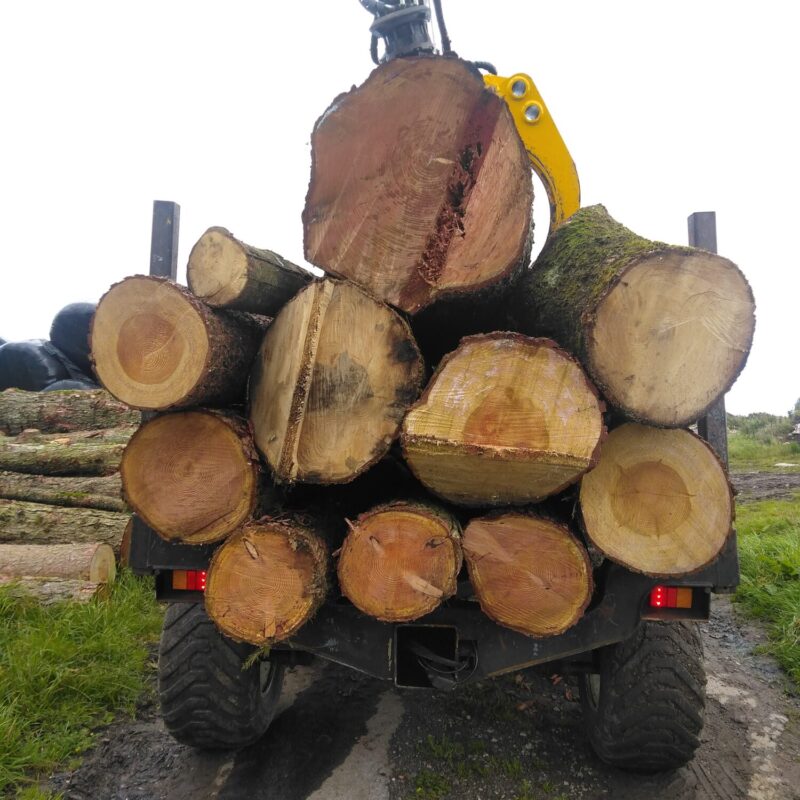 tree contractor equipment 16